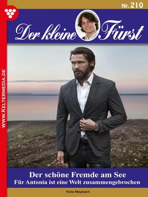 cover image of Der schöne Fremde am See